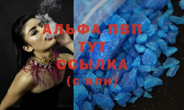 ешки Аркадак