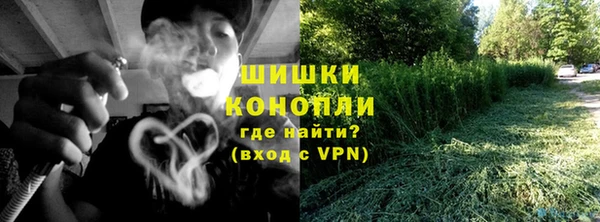 ешки Аркадак