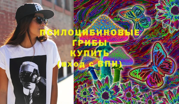 тгк Армянск
