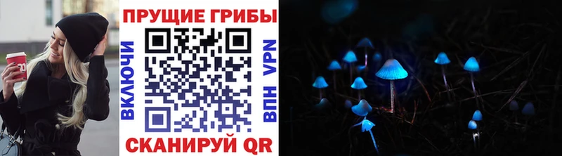 Псилоцибиновые грибы Cubensis Усинск